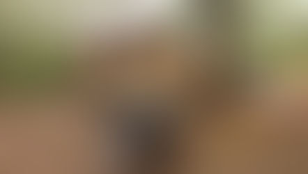 Inauguration of the new Tamaraw Rangers Station in Aruyan-Malati area (Oct 30 2018)