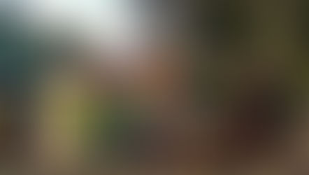 Team building and training to launch the establishment of the permaculture based system in Mts Iglit