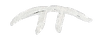 Logo-White.PNG