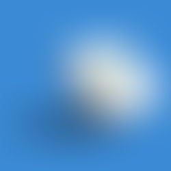 SEO ve Google Ads Nedir, Aynı Şey mi?