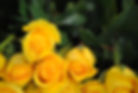 Image by MATINA FLOWERS PREMIUM GROWER ROSES