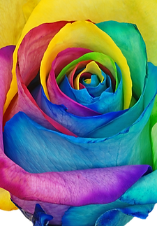Rainbow_6.png