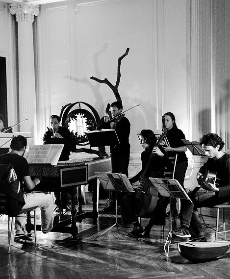 les surprises 2013.jpg