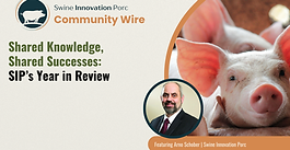 Reflecting on a Year of Progress: SIP’s Key Achievements in 2024
