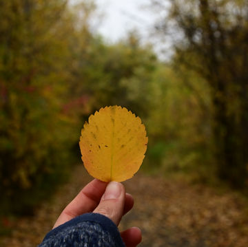 DSC_3312.JPG