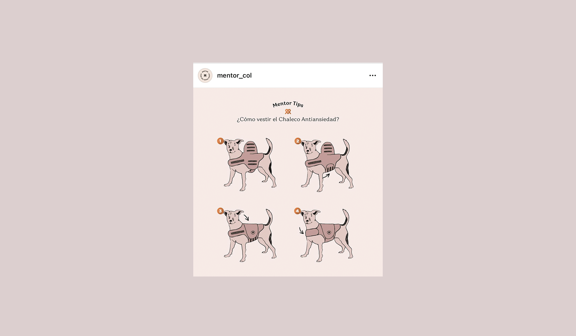 REDES MENTOR GIF