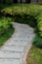 pexels-anderson-wei-2151965849-34861784.jpg