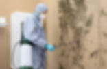 mold removal.jpg