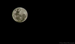 DSC_0011-2.jpg