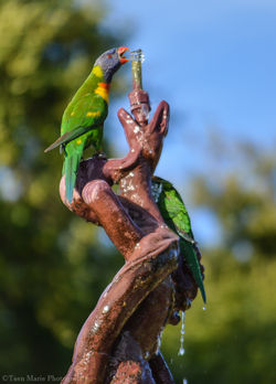 DSC_0281.jpg