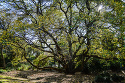 DSC_0479.jpg