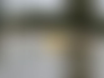 Flood Intelligence: What it is and the roles you can take on in this industry?