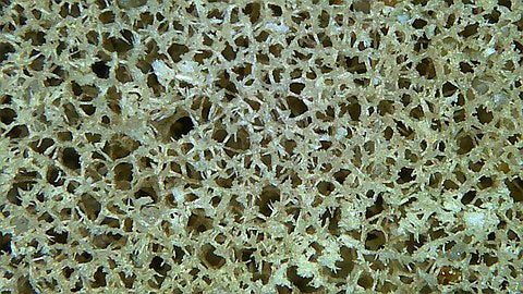 Spicule Therapy: What It Is and Why It’s So Effective