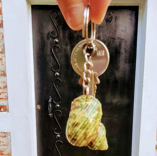 SURPRISE! We're Moving to El Salvador