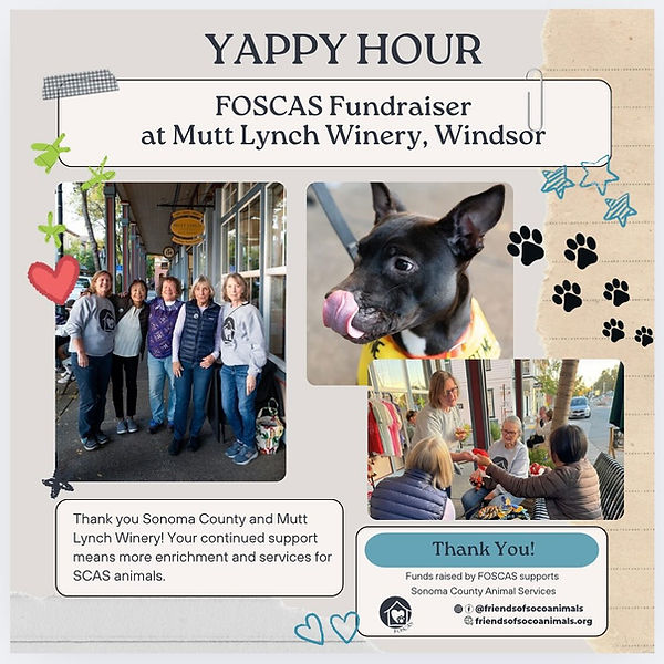 2024 Yappy Hour.jpg