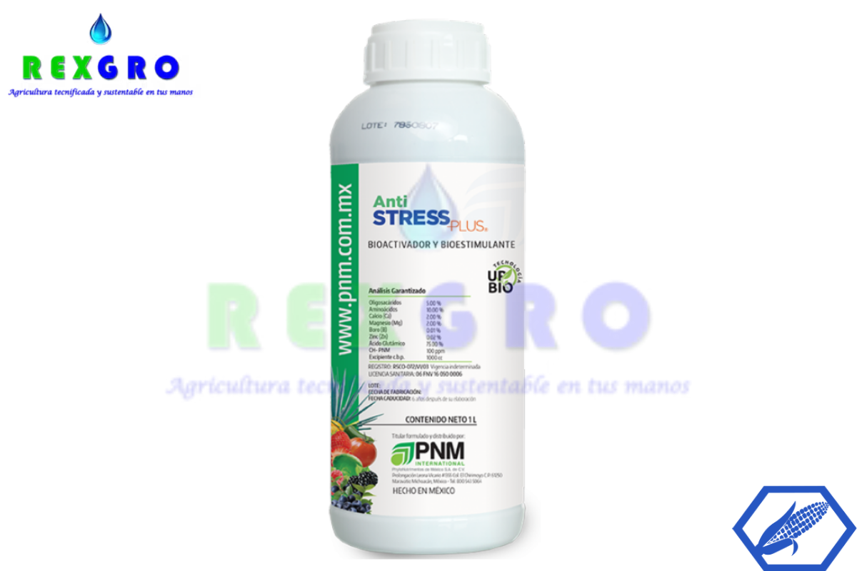 ANTI STRESS PLUS