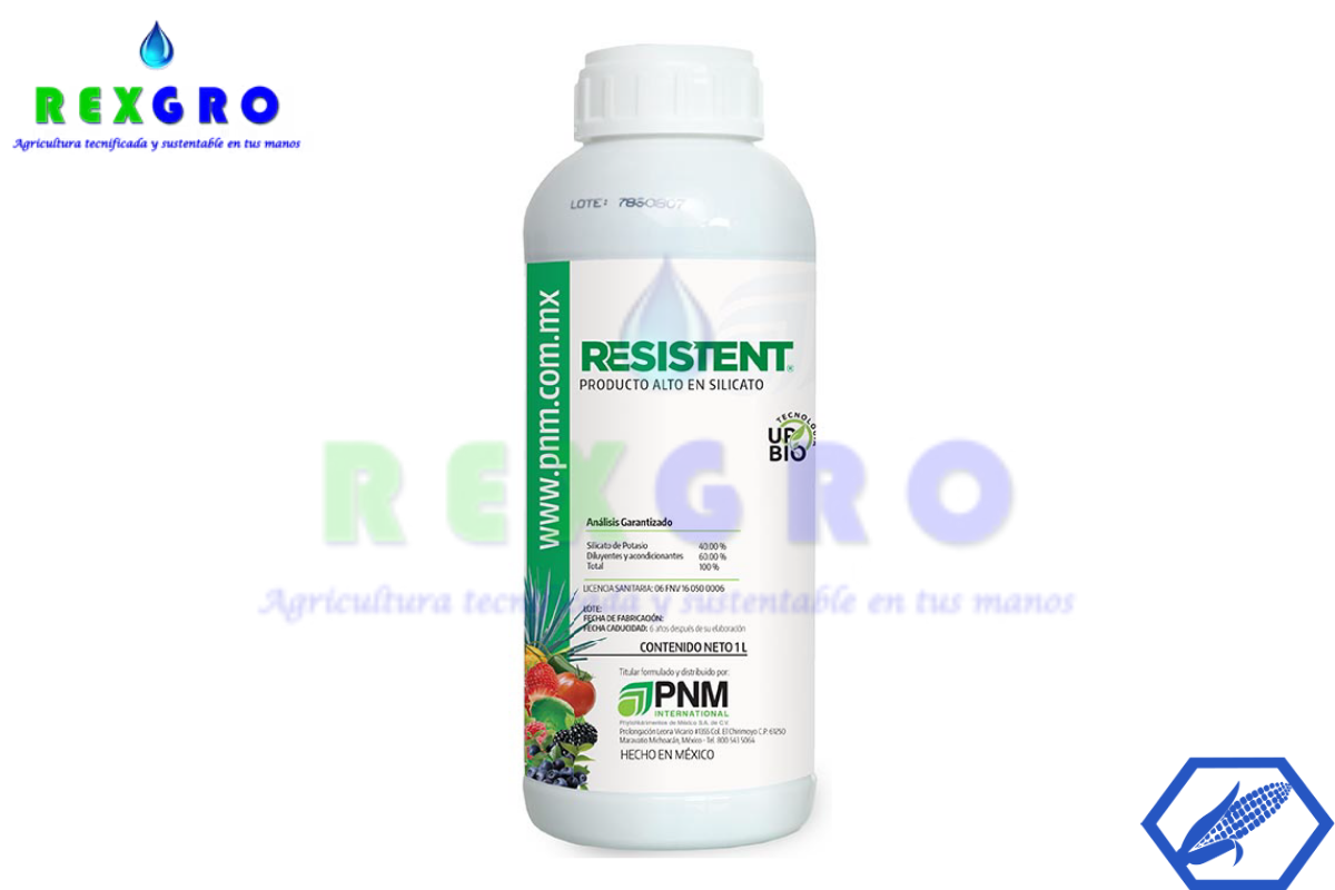 RESISTENT