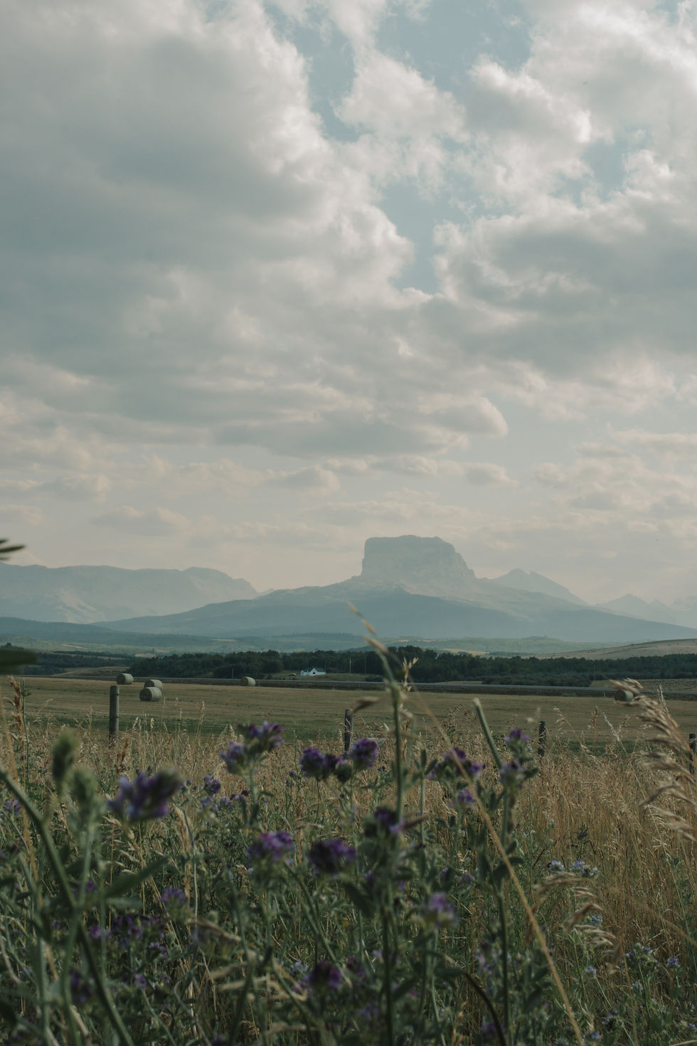 The Chief Mountain