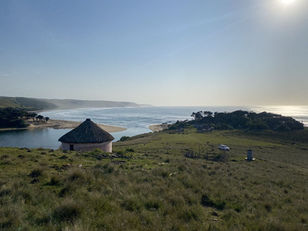 Novel Excerpt: Governing Desire