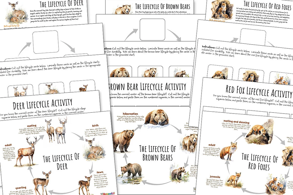 Thumbnail: WINTER FOREST Animals Nature Unit, Winter Unit Study, Life Cycles, Anatomy, Work