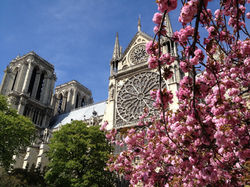 Bayeaux Cathedral