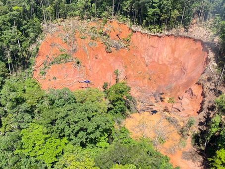 Loi climat et lutte contre l'orpaillage illégal : quelles sont les mesures votées par les députés ?