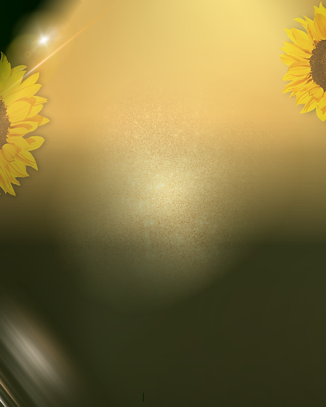wix background.png
