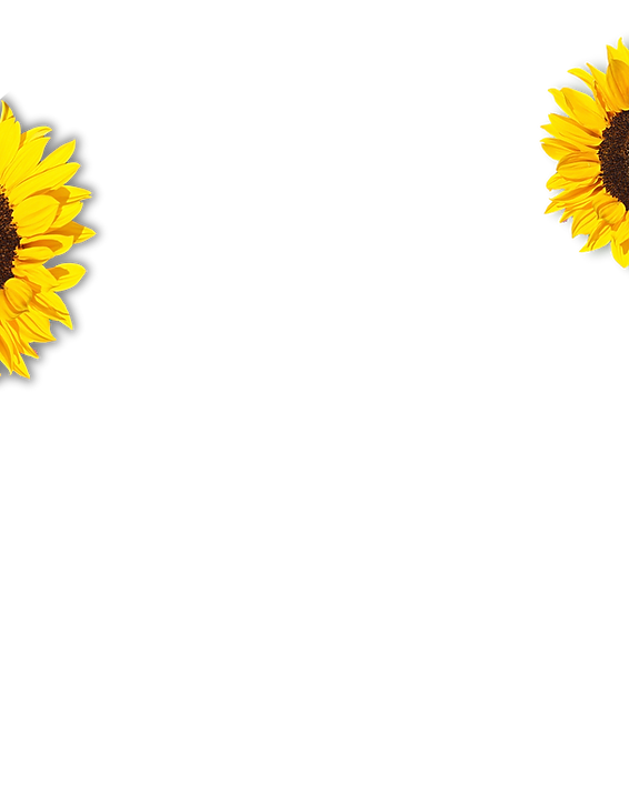 wix flowers.png