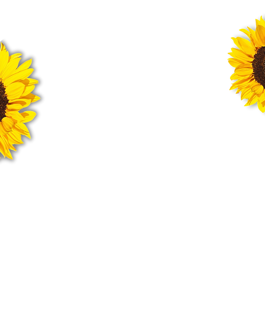 wix flowers.png