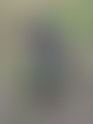 FERDINAND'S GOING TO DISNEYLAND... Kind of!