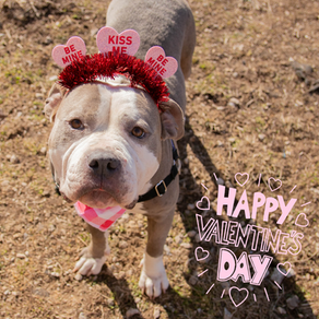 Happy Valentine's Day!