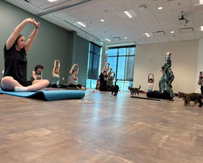 Thank you for coming to Kitten Yoga! 🧘🐈