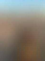 Ferdinand's Road Trip: Day 1