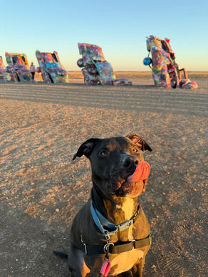 Ferdinand's Road Trip: Day 1