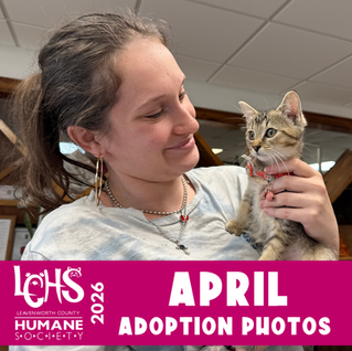Showers of Love and Wagging Tails: April Adoption Photos