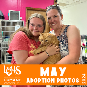 National Pet Month: May Adoptions!