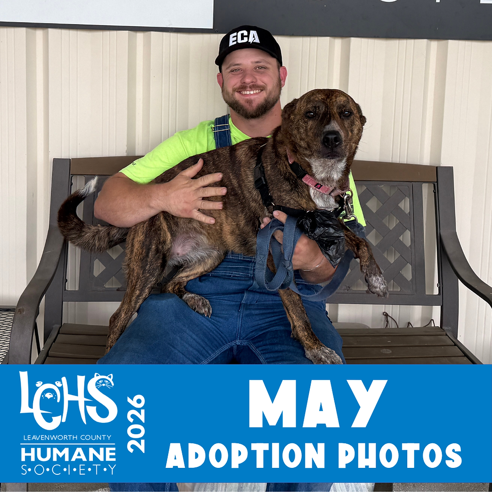 May Flowers & Forever Homes: May Adoption Photos