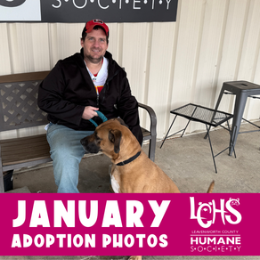 New Year, New Homes: Celebrating January's Adopted Pets!