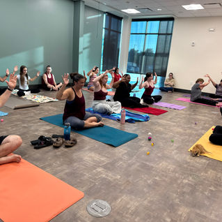 Thank You For Joining Us at Kitten Yoga!