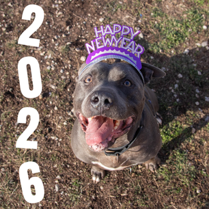 HAPPY NEW YEAR! 