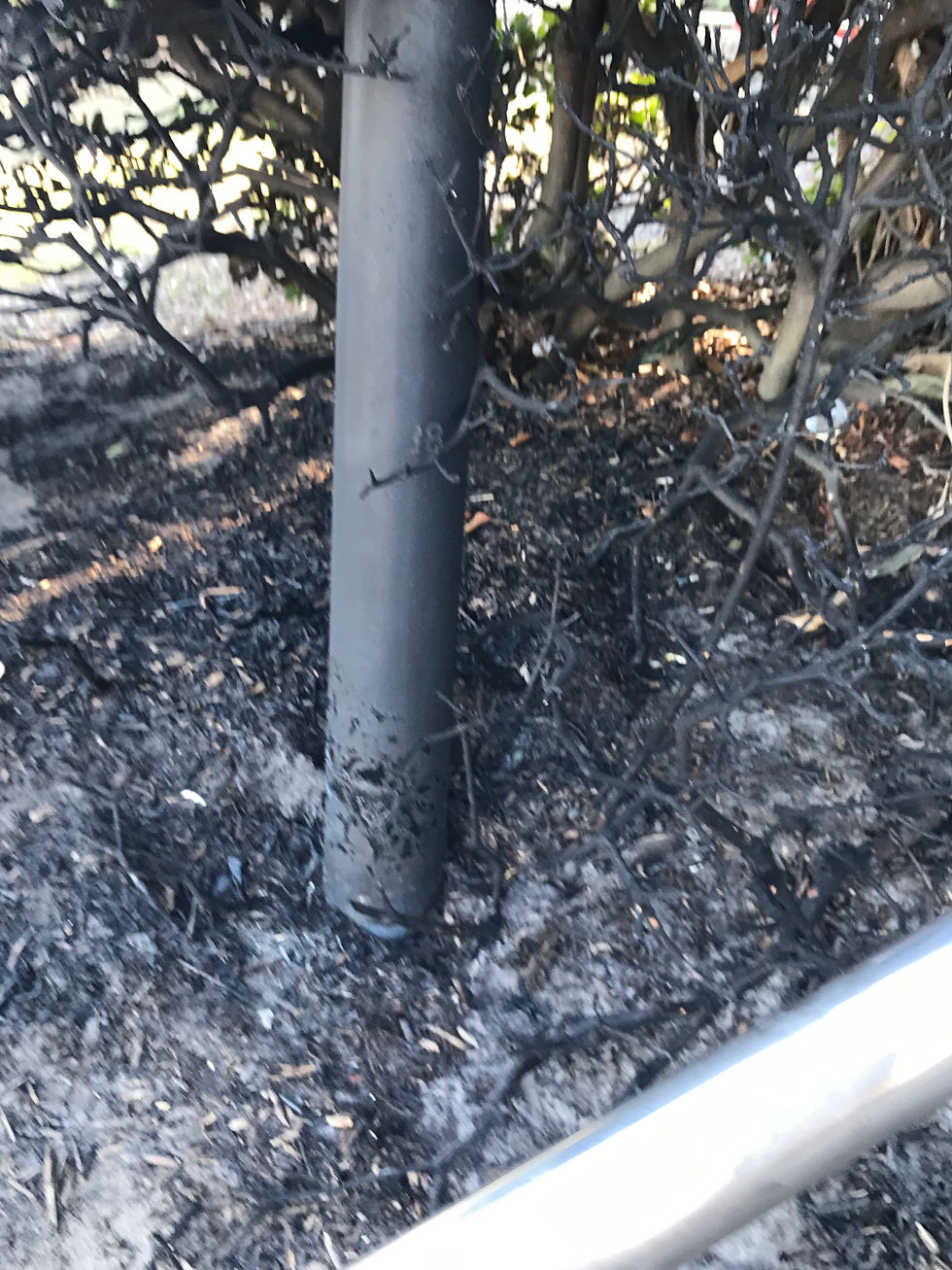 Lady Robinson's Beach Brighton Le sands Foreshore December 2025