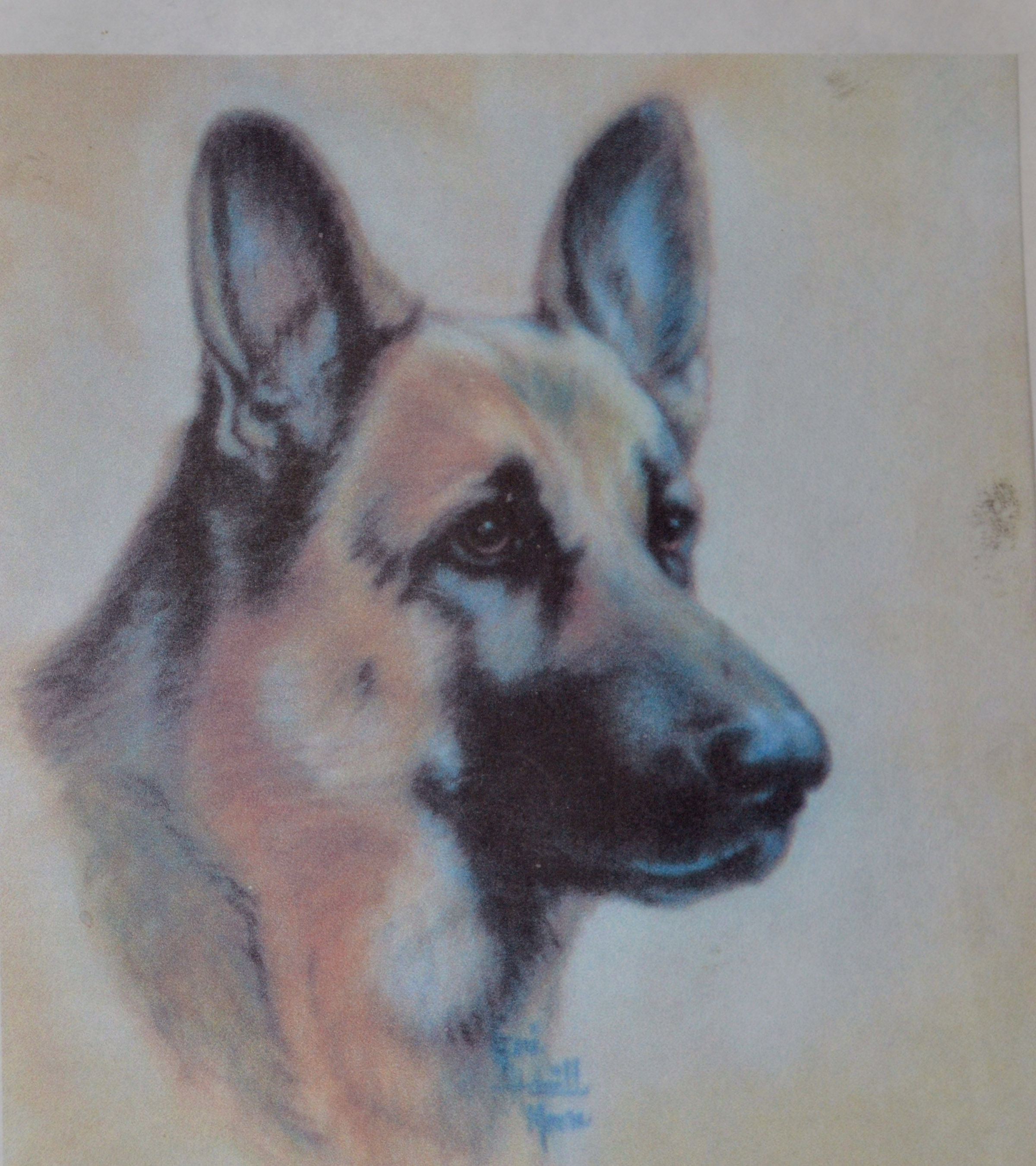 German Shepherd 18x18