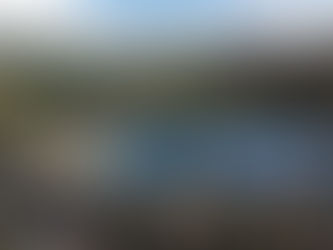 A Niche Market: Napa Valley Home Concierge