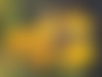 Attracting Pollinators to Your Backyard