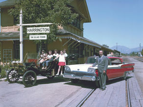 Pollyanna in the Napa Valley