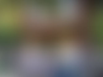 Porchfest Will Again Bring Music to Napa’s Streets