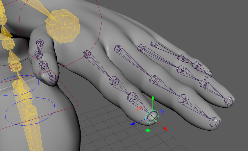 Adding joints to the fingers