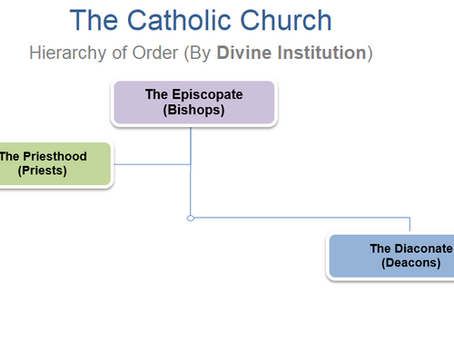 Primer on the Hierarchy in the Catholic Church