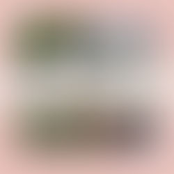 Top 5 Neighborhoods in Nashville to Buy in 2025!