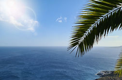 Palme Teneriffa Castillo Moro